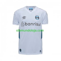 Camisola Gremio Homem Equipamento Segundo 2023-2024 Manga Curta